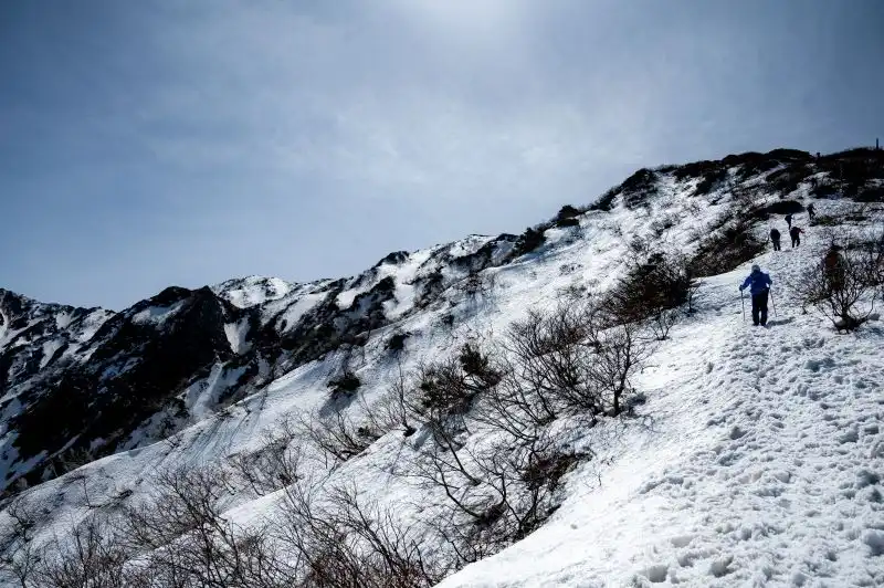 大山登山道